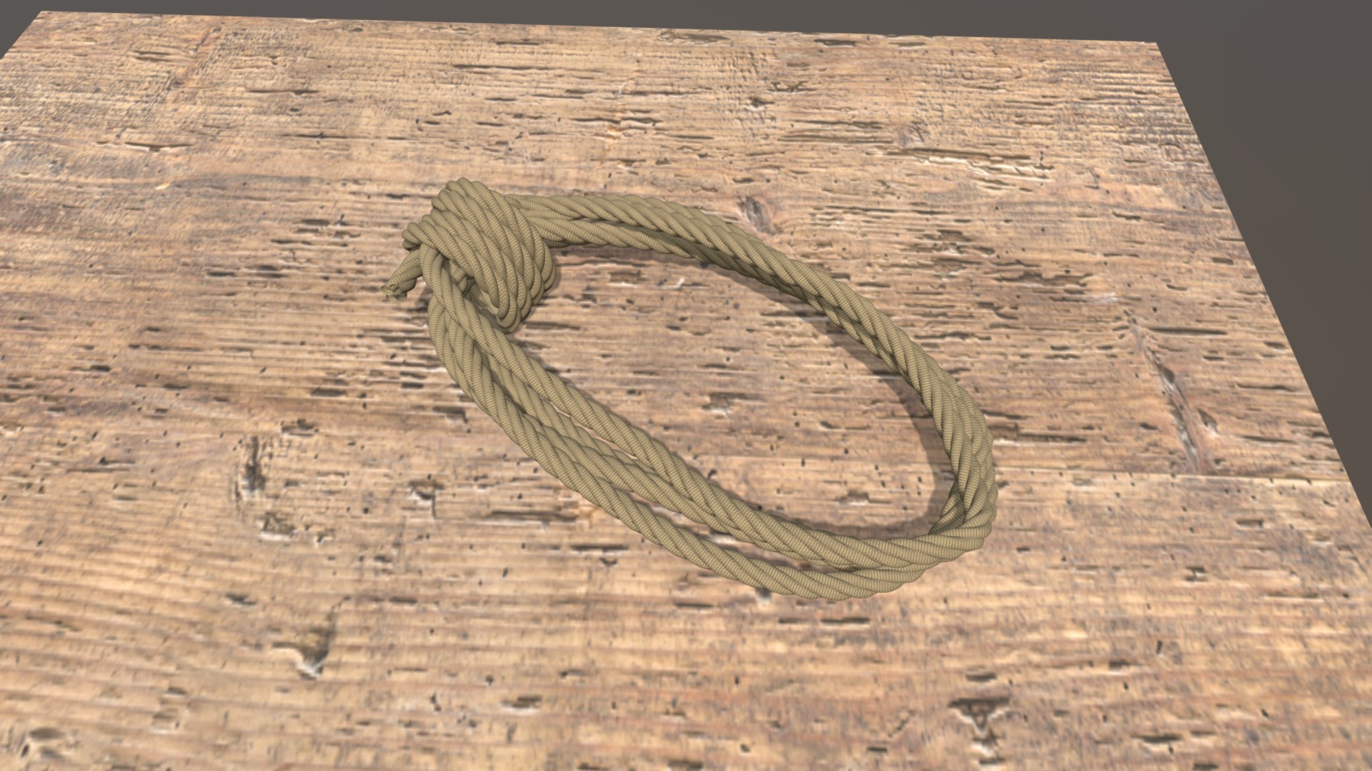 3D model Coiled Rope - This is a 3D model of the Coiled Rope. The 3D model is about a lizard on a wood surface.