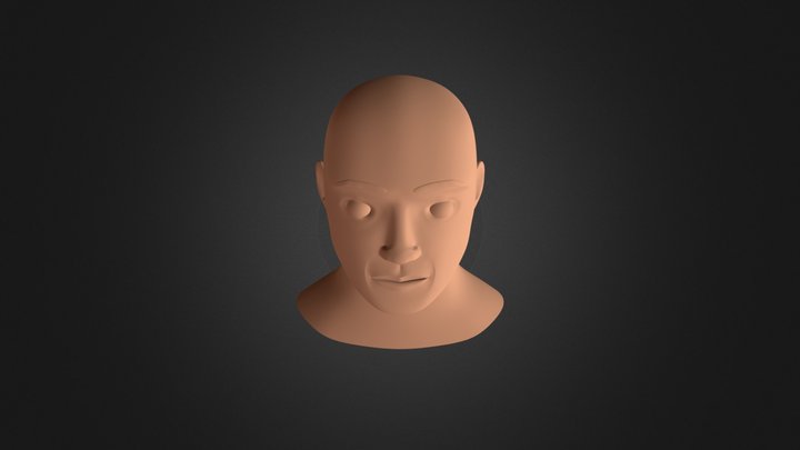 Cabeça humana 3D Model