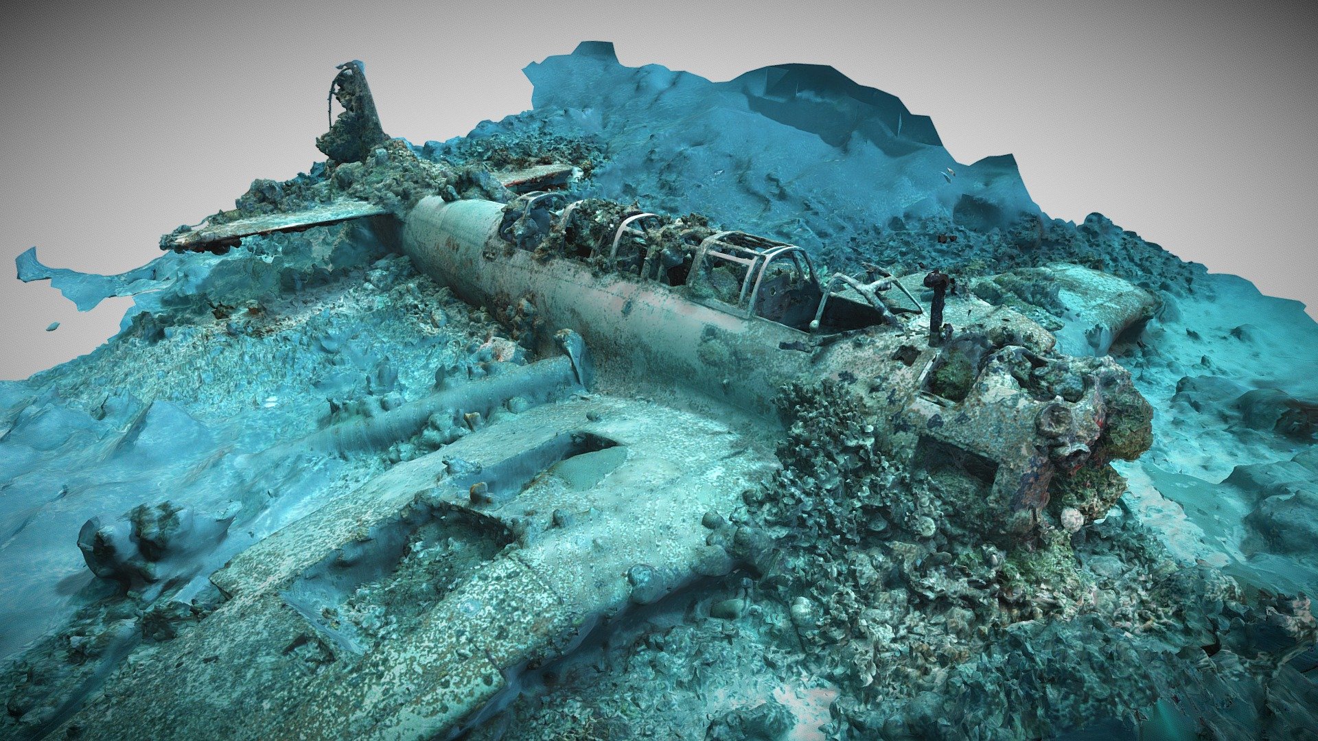 トラック諸島に沈む艦船で眠る「海没遺骨」、帰還待つ英霊【動画・3D