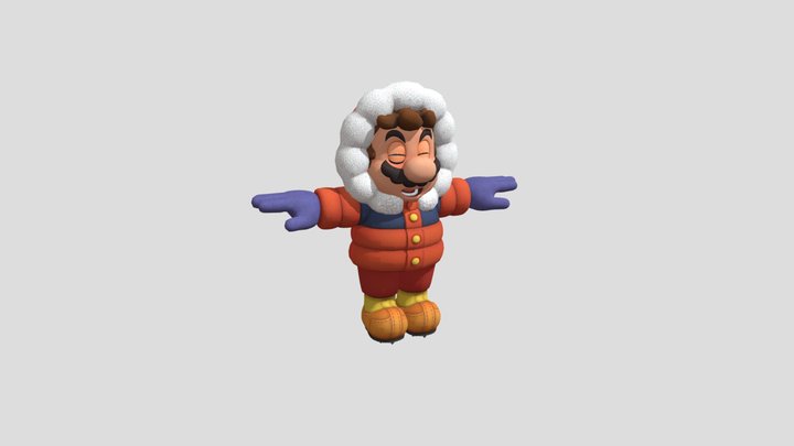 Mario Snow Cap Throw 3D Model