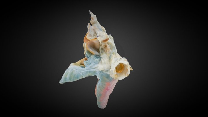 101_hires 3D Model