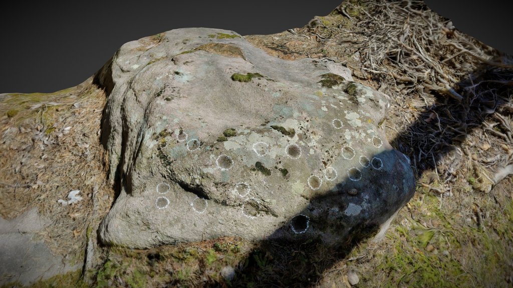 C254.11 - Cupmarkedstone, Gschlires