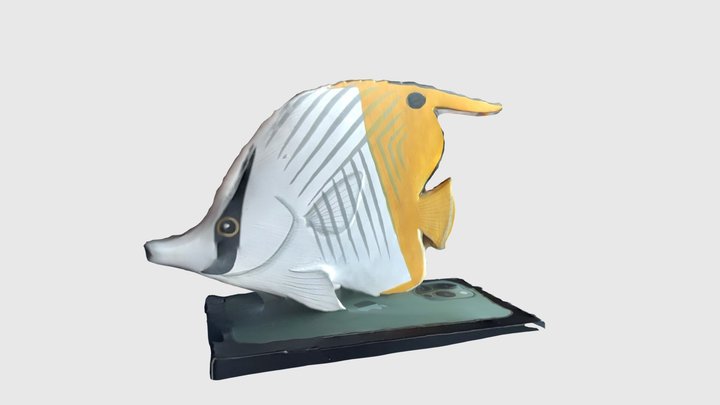 Fish Madives 3D Model
