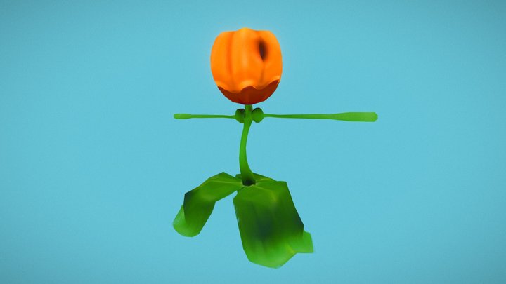 Potiron de la Toussaint 3D Model