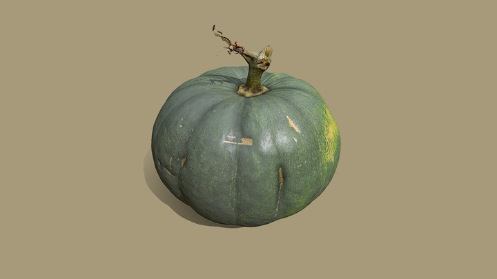 Pumpkin - green 01