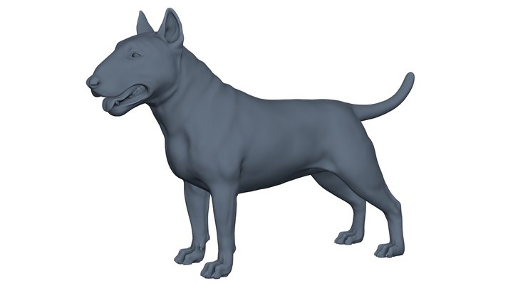Bull Terrier Pose 01 3D print model 3D Model