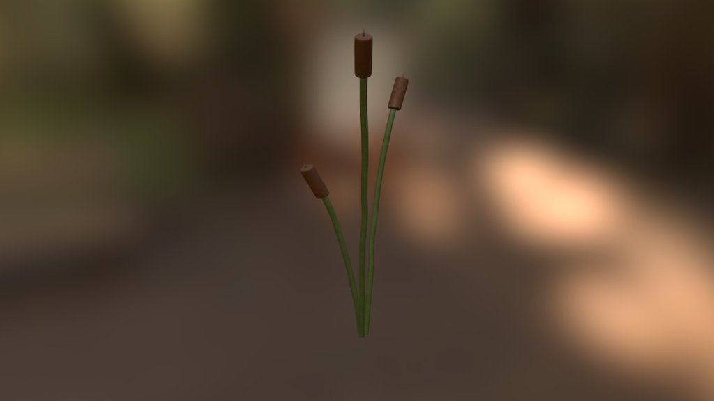 Cattails_Historical - 3D model by Eric S (@spy_doctor) [0f50e95 ...