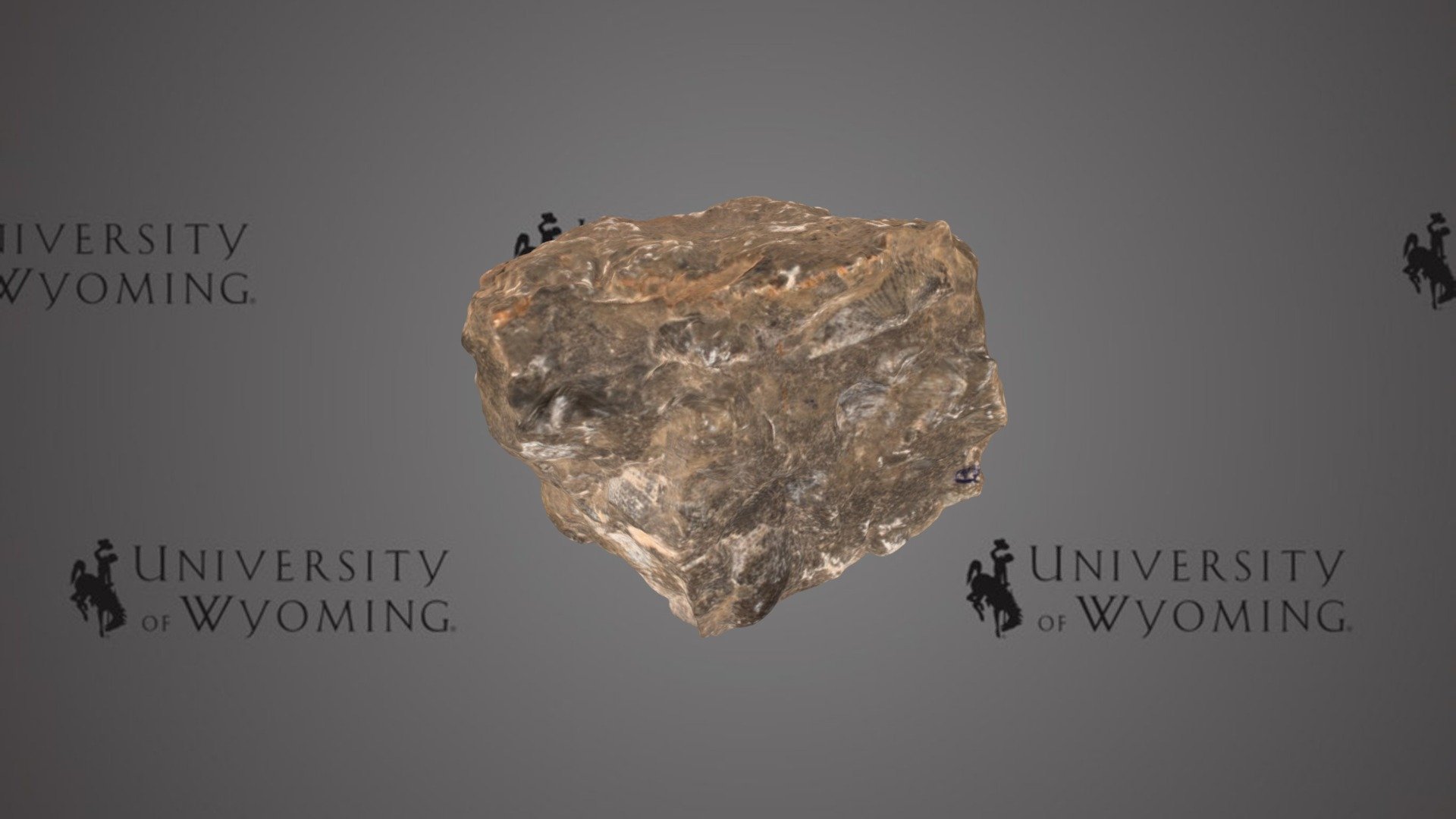 UWG Calcareous Specimen