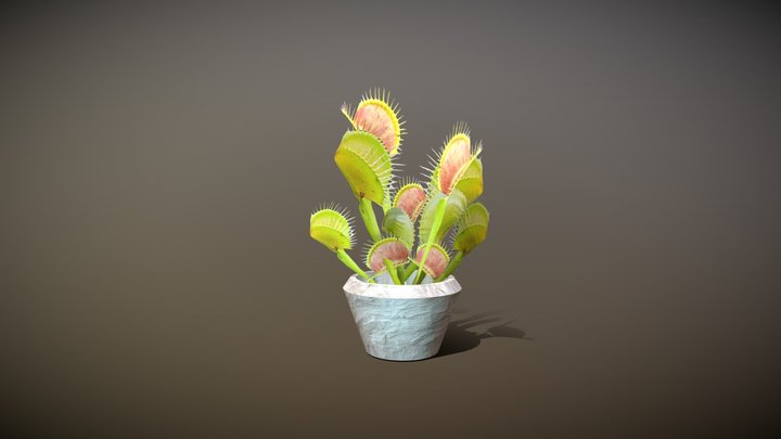 Venus Flytrap 3D Model
