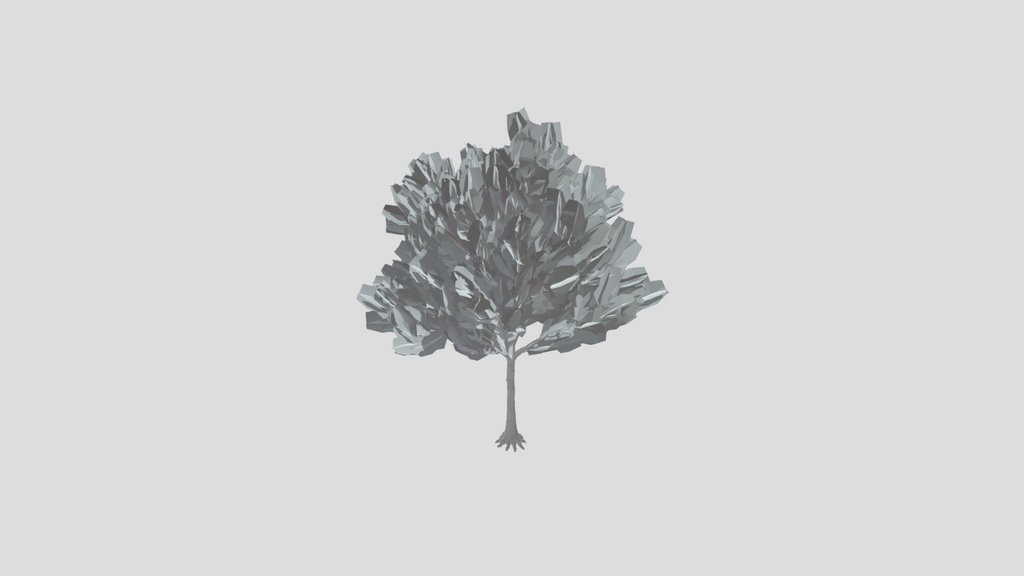 American Beech Tree Variation Low Poly