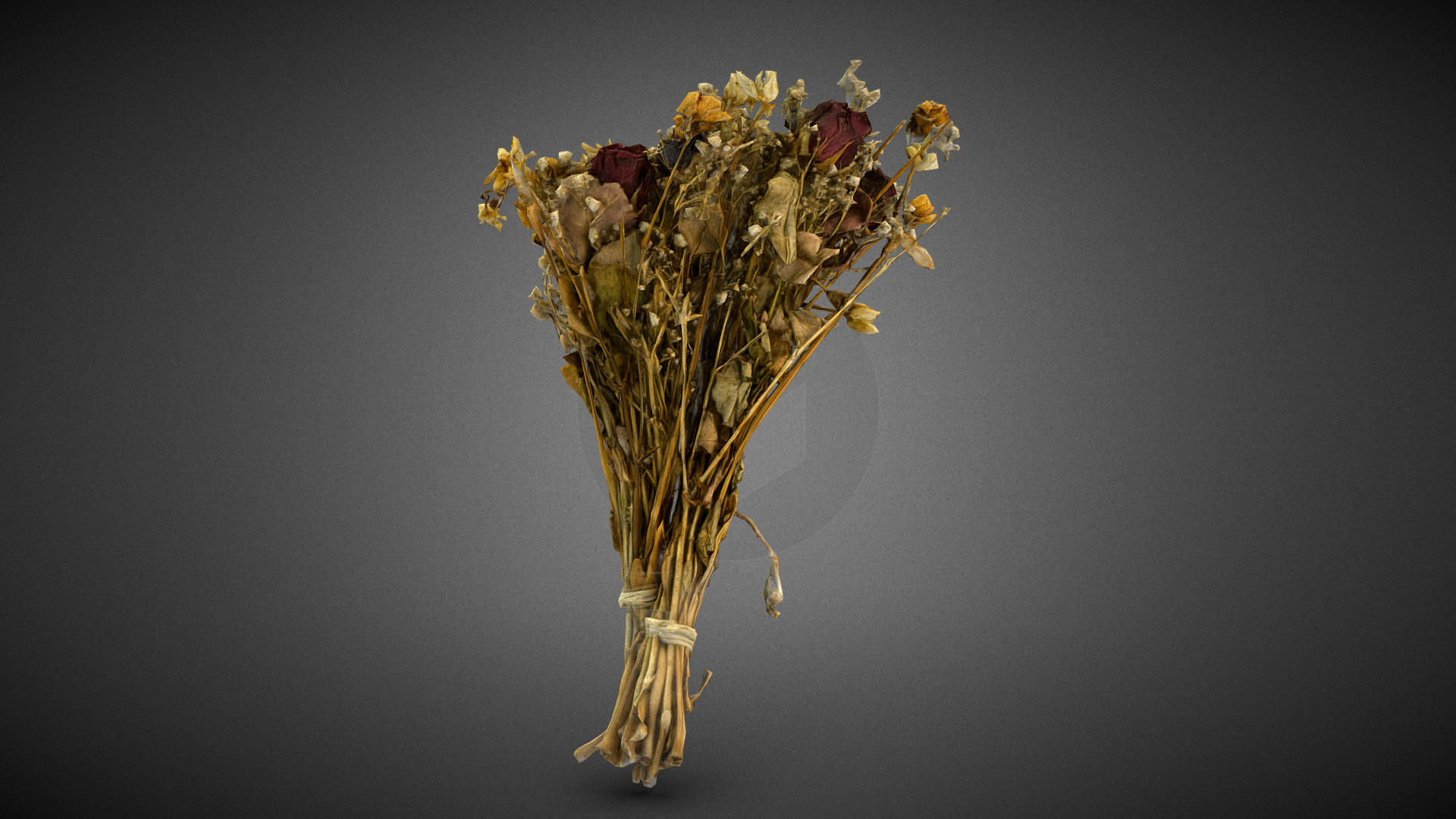 3D model Dry Flowers Bouquet - This is a 3D model of the Dry Flowers Bouquet. The 3D model is about a close-up of a flower.
