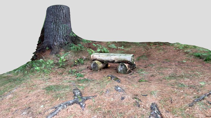 log bench along trail 3D Model