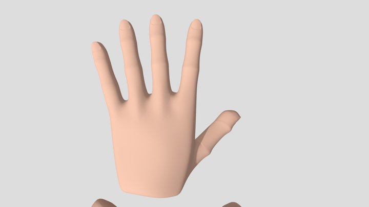 Hand 3D Model