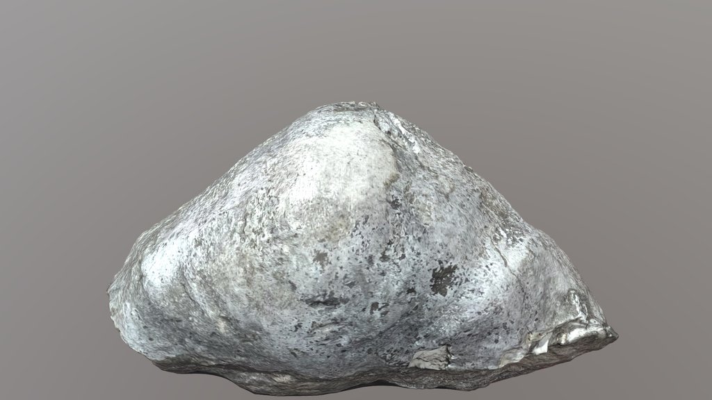 Delepinea 264-152