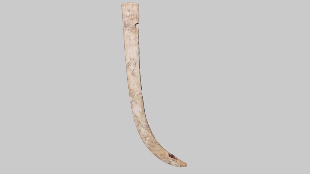 Bow limb