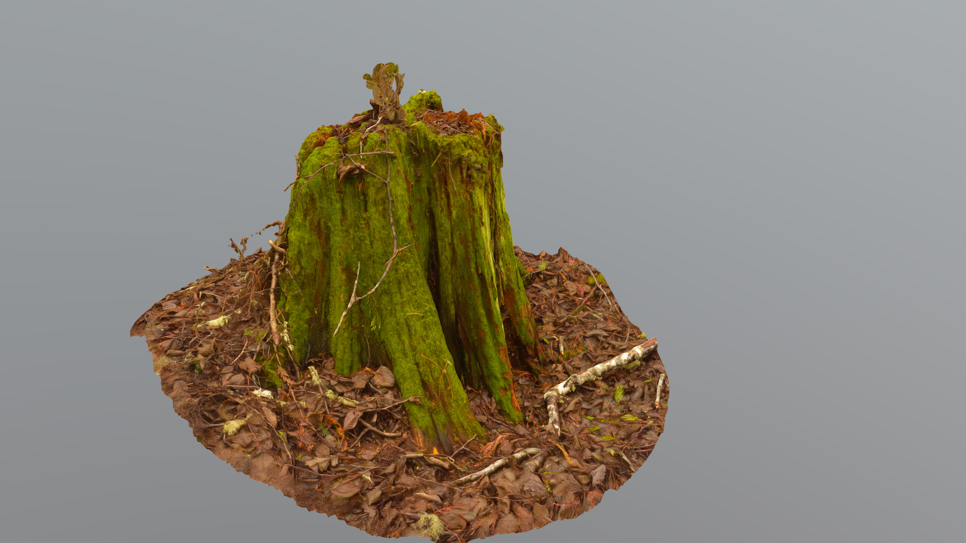 3D model Mossy Stump 7 - This is a 3D model of the Mossy Stump 7. The 3D model is about a mossy tree stump.
