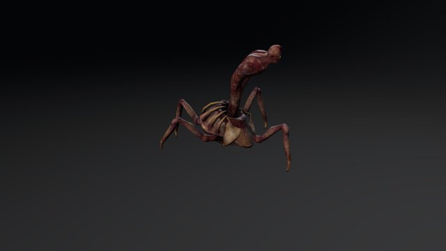 Carcinus Crab 3D Model