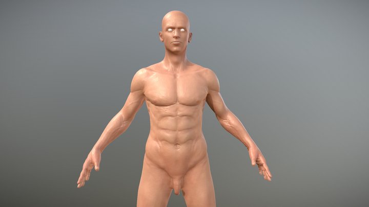 Male Basemesh 3D Model