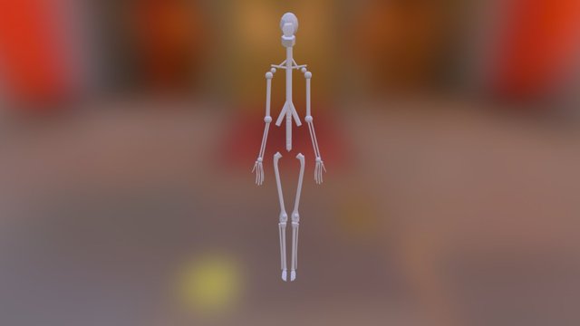 Zecchino Kelsy D Dn330 Skeleton 3D Model