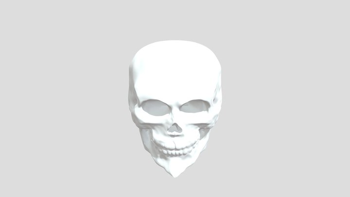 My model 3D Model