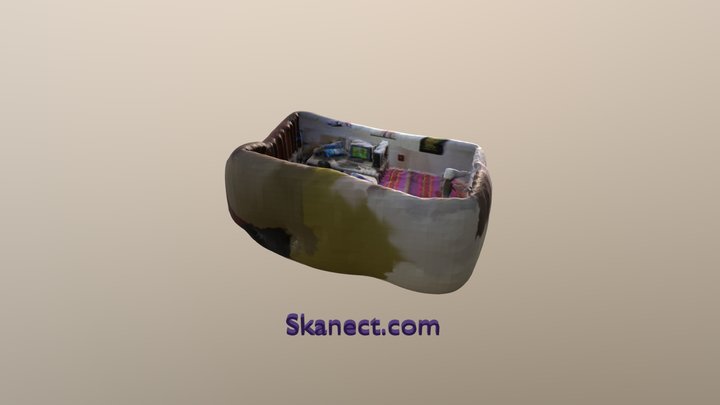 Skanect-room 3D Model