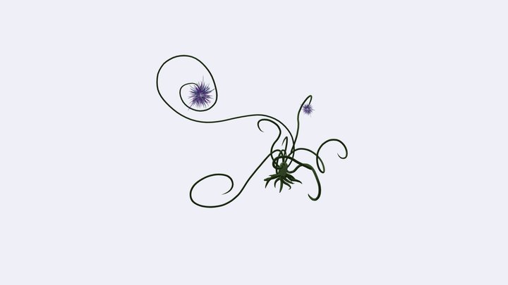 Magic swirl plant 3D Model