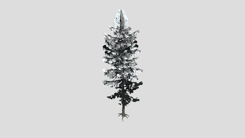 Tree European Larch A1