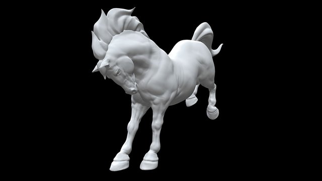 Horse Study 3D Model