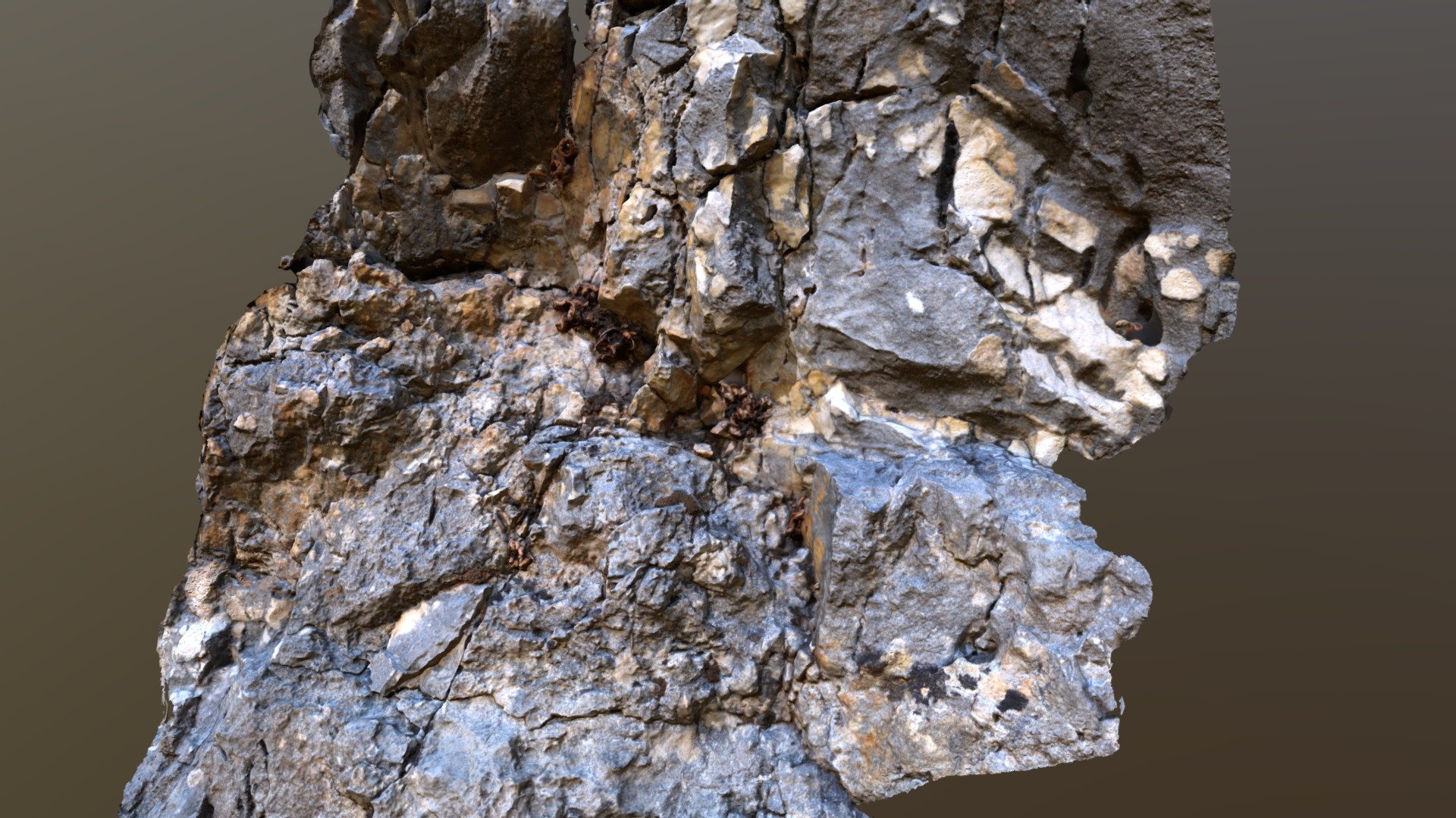rock outcrop with ferns and mosses - Croatia