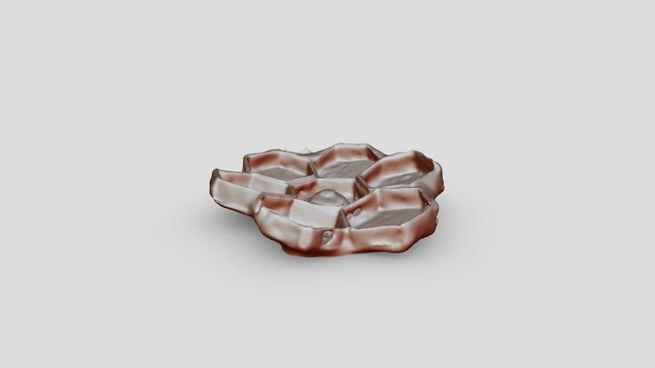 gracie 3D Model