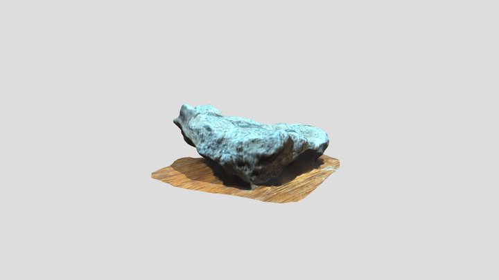Amonite