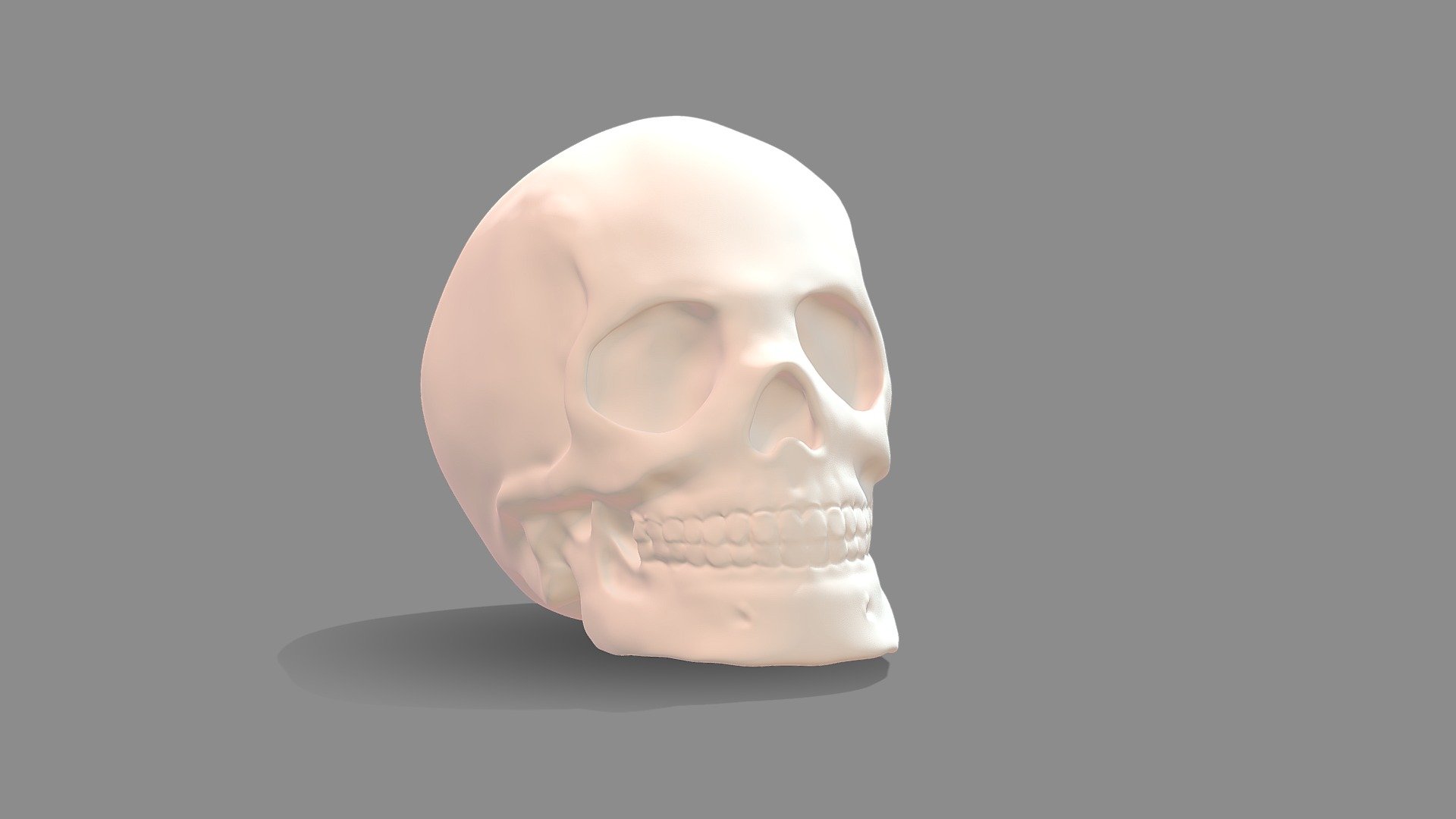 Zbrush Skull - 3D model by nicocalkins [0f6c190] - Sketchfab