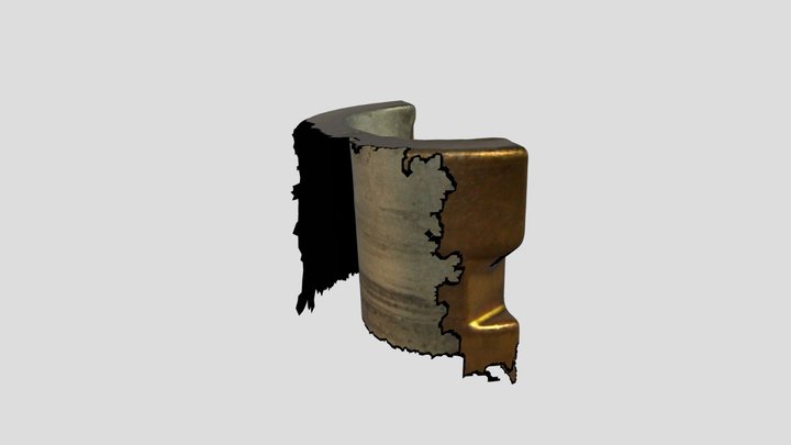 Inner Surface Scan_1 3D Model