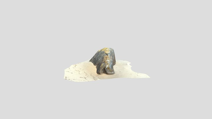 3D scan of large rock 3D Model