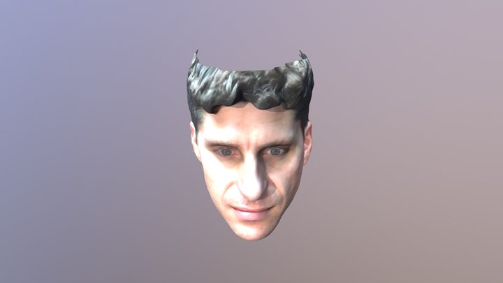 Head3d (1) 3D Model