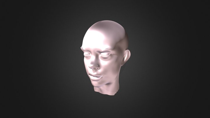 Headsculpt #1 3D Model