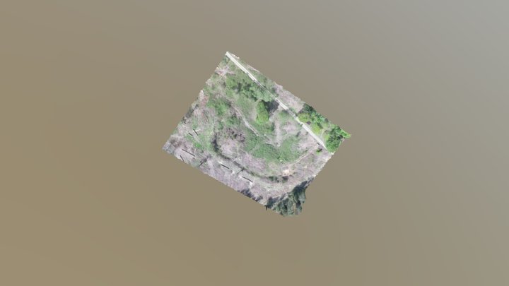 motte féodale de Coetquen - cotes d'amor France 3D Model