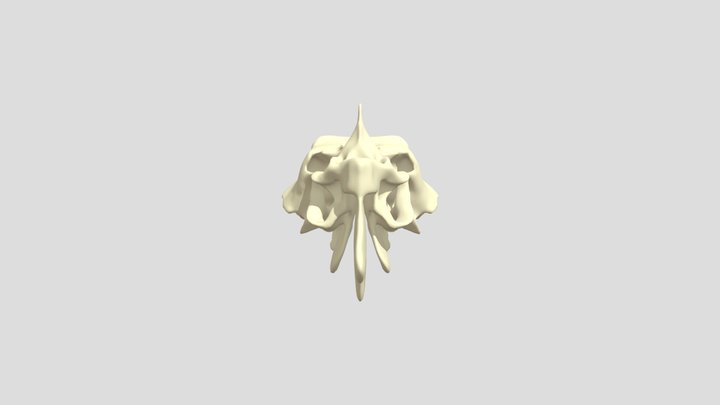 Etmoide 3D Model