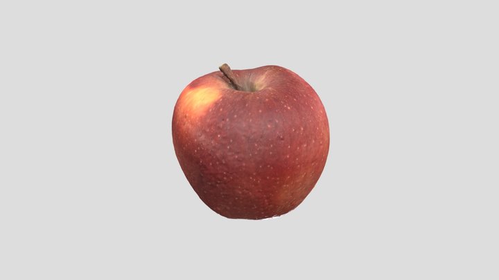 תפוח- מקטב מוצלב- הגר עמיבר- סמסטר ב 3D Model