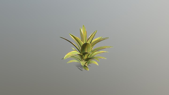 Plant 3D Model