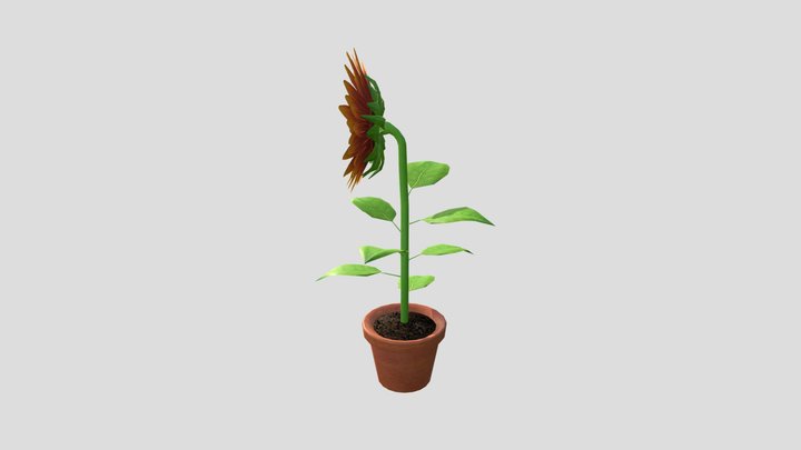 Wk8_plant_gadd 3D Model