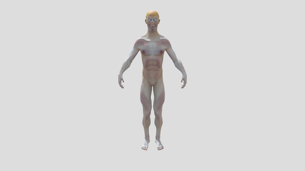 Human Subdermal Colour Zones