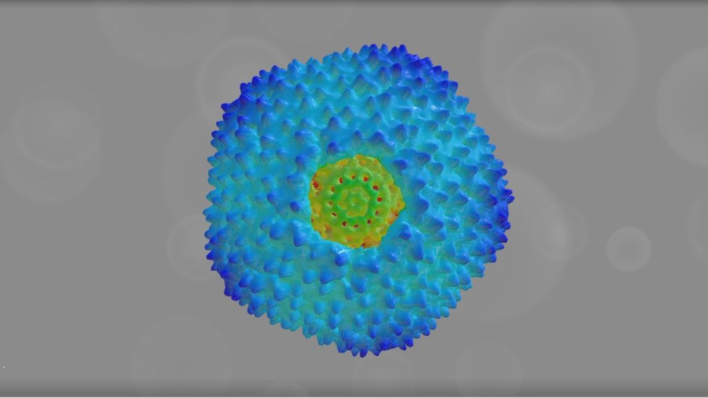 EMD 5985 - 3D model by Interactive 3D Data (@proteinsimulation ...