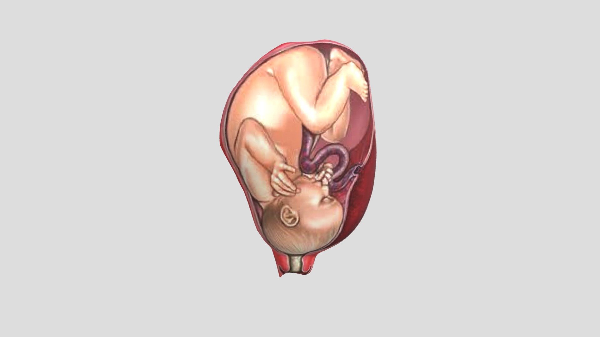 40 WEEKS