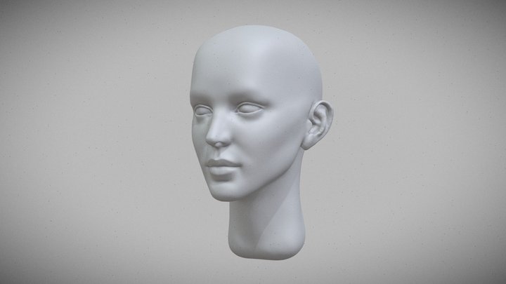 Head study 3D Model