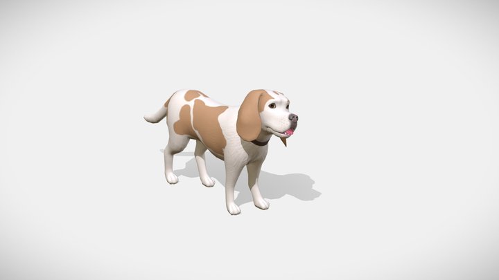 Beagle 3D Model