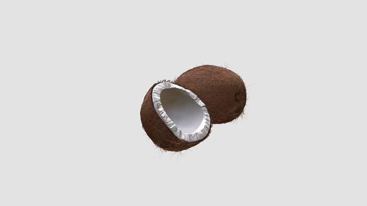 coconuts 3D Model