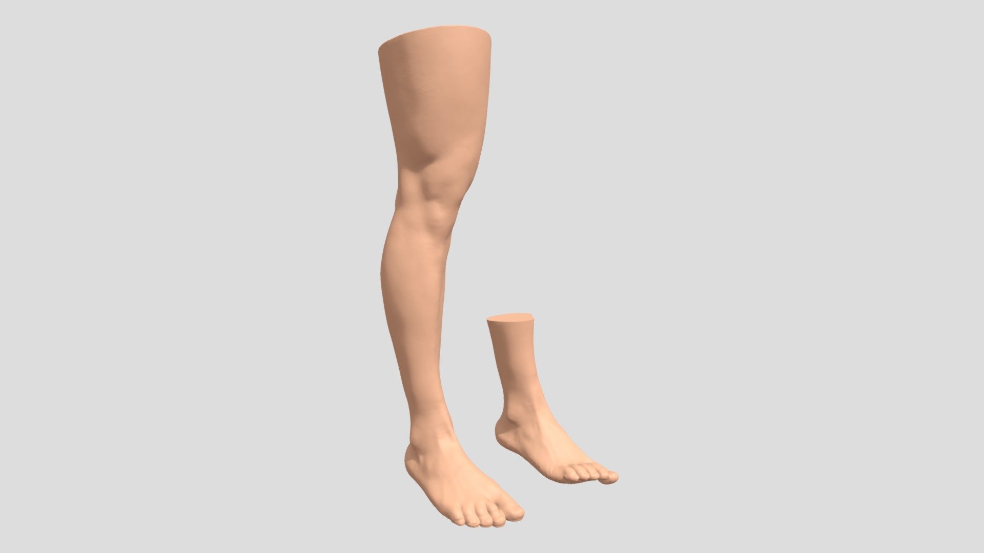 Legs - Buy Royalty Free 3D Model By 3Dlab Budapest (@sigi) [0f85462 ...