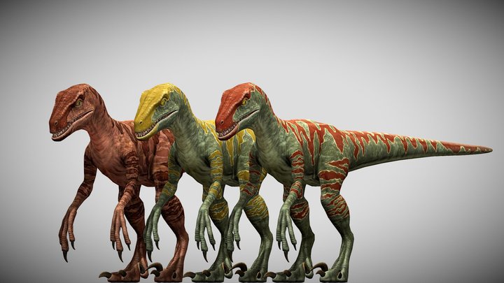 JW: PO Velociraptor – Free 3D Model STL