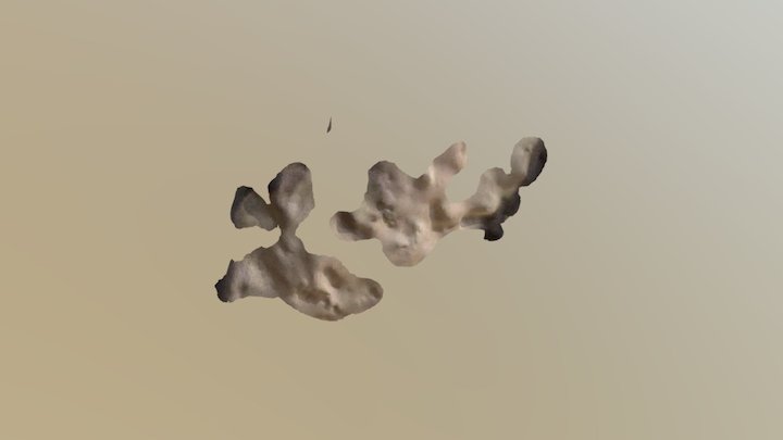 Two shapes in my room 3D Model